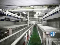 Tàu kéo lưới để bán