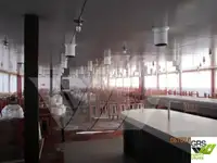 Tàu du lịch để bán
