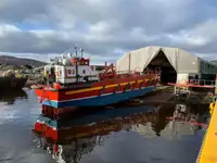 Ro-Ro ship rao bán