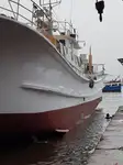 Tàu câu dài để bán