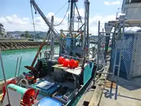 Trawler rao bán