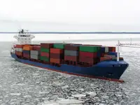 Tàu container rao bán