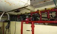 Tàu dẫn đường để bán