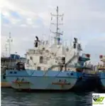 Tàu đổ bộ, chở hàng để bán