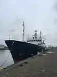 Tàu khảo sát để bán