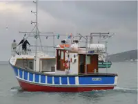 Trawler rao bán