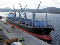 Tàu chở hàng rời để bán