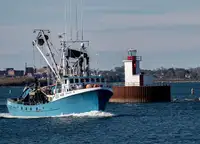 Purse seiner rao bán
