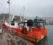 Tàu kéo lưới để bán