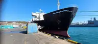 Ro-Ro ship rao bán