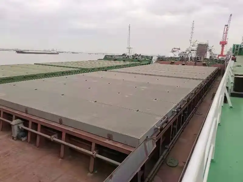 Tàu chở hàng rời để bán