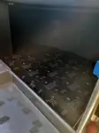 Tàu du lịch để bán