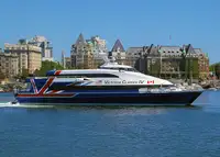Catamaran rao bán