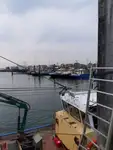 Tàu kéo lưới để bán