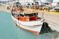 Trawler rao bán