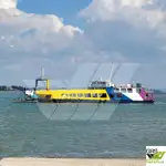 Tàu đổ bộ, chở hàng để bán