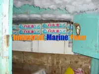 Tàu câu dài để bán