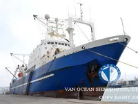 Tàu kéo lưới để bán