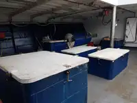 Tàu kéo lưới để bán