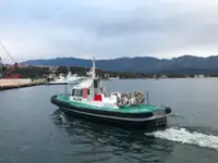 Tàu dẫn đường để bán