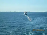 Tàu chở hàng rời để bán