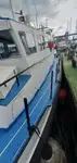 Tàu container để bán