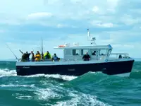 Catamaran rao bán