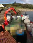 Tàu làm việc để bán