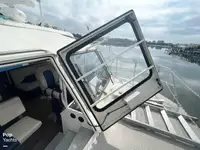 Tàu du lịch để bán
