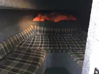Tàu dẫn đường để bán