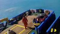 Tàu làm việc để bán
