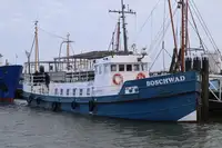 Xà lan rao bán