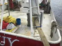 Tàu kéo lưới để bán