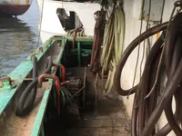 Tàu câu mực để bán
