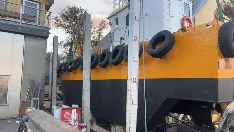 Đa mục đích để bán