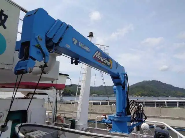 Tàu chở hàng rời để bán