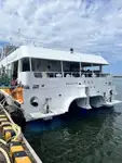 Tàu hai thân để bán