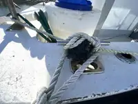 Tàu kéo lưới để bán