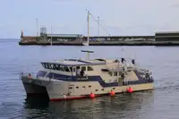 Tàu khảo sát để bán