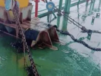 Sà lan để bán