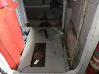 Tàu du lịch để bán