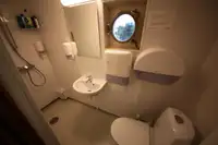 Tàu chở hàng rời để bán