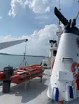 Tàu chở hàng rời để bán