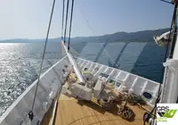 Tàu du lịch để bán