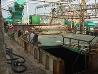 Tàu câu mực để bán