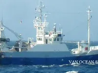 Tàu kéo lưới để bán