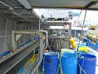 Longliner rao bán