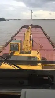 Tàu chở hàng rời để bán