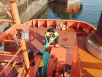 Tàu kéo để bán
