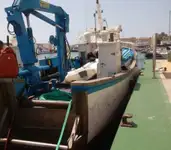 Tàu làm việc để bán